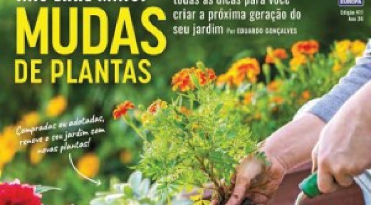 Natureza Ed 411