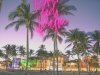 CARLIGHTS - Lights and Palm (2022)