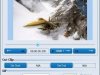 Movie To GIF v4.2.0 + Portable