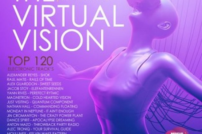 The Virtual Vision (2022)