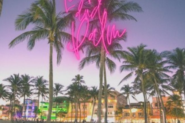 CARLIGHTS - Lights and Palm (2022)