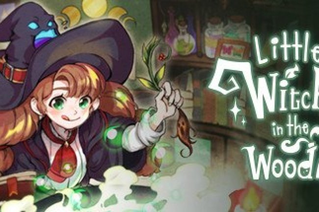 Little Witch in the Woods