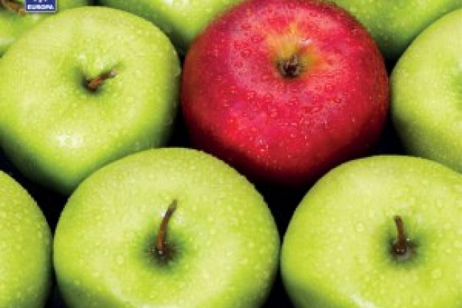 Fotografe Melhor Ed 308 - Maio 2022