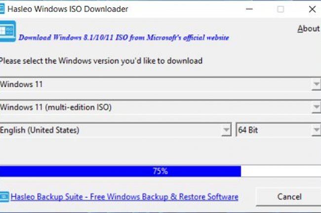 Hasleo Windows ISO Downloader v2.0