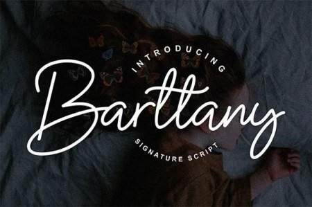 Barttany Font