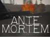 Ante Mortem