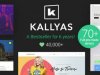 KALLYAS - Creative eCommerce Multi-Purpose WordPress Theme