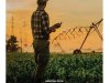 Globo Rural Ed 438 - Jun/Jul 2022