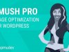 WPMUDEV Smush Pro - WordPress Image Optimization Plugin