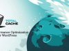 W3 Total Cache Pro - The Ultimate WordPress Performance Toolkit