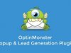 OptinMonster + Addons + License
