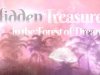 Hidden Treasures in the Forest