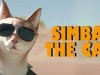 SIMBA THE CAT