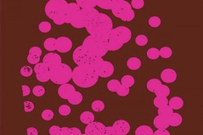 A Filha Única - Guadalupe Nettel