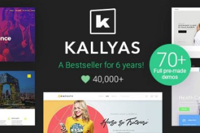 KALLYAS - Creative eCommerce Multi-Purpose WordPress Theme