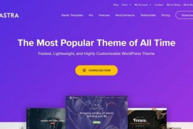 BrainStorm Force Astra WordPress Theme