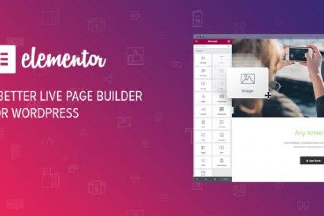 Elementor Pro WordPress Page Builder