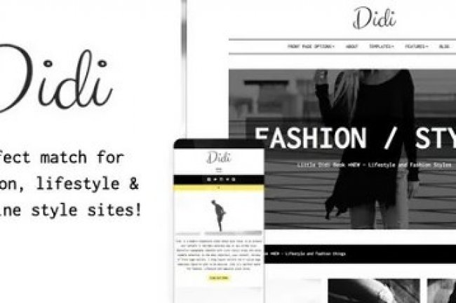 ThemeIsle Didi - The Best Blogging WordPress Theme