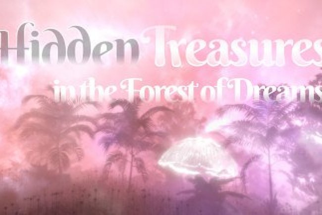 Hidden Treasures in the Forest