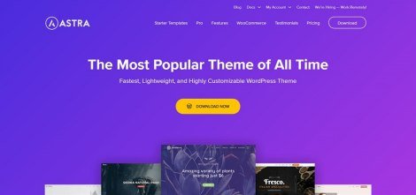 BrainStorm Force Astra WordPress Theme