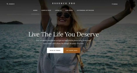 Studiopress Essence Pro Theme