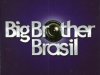 Big Brother Brasil (2002)