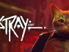Stray [PT-BR]