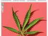Veja Saúde Edição 482 - Agosto 2022 (PDF)