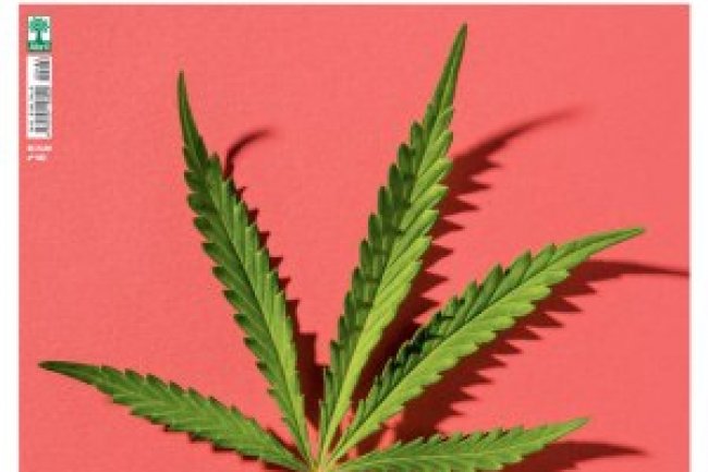 Veja Saúde Ed 482 - Agosto 2022