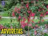 Natureza Ed 413