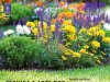 Natureza Ed 414