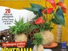 Natureza Ed 415