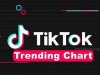 TikTok Trending Top 50 Singles Chart [23.12] (2022)