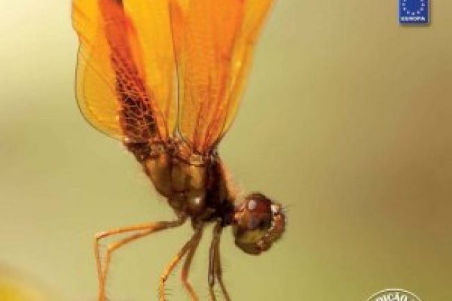 Fotografe Melhor Ed 312 - Setembro 2022