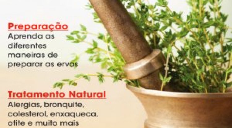 Dicas do Dia a Dia - Dicionário de Ervas