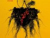 Hide: Esconda-se Quem Puder - Kiersten White