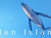 Eden Island