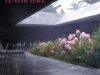 Caspro - Luxury Haze (2021)
