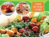 Saladas Saudáveis & Criativas