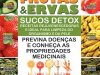 O Poder das Frutas & Ervas