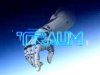 AWITW - Traum (2022)