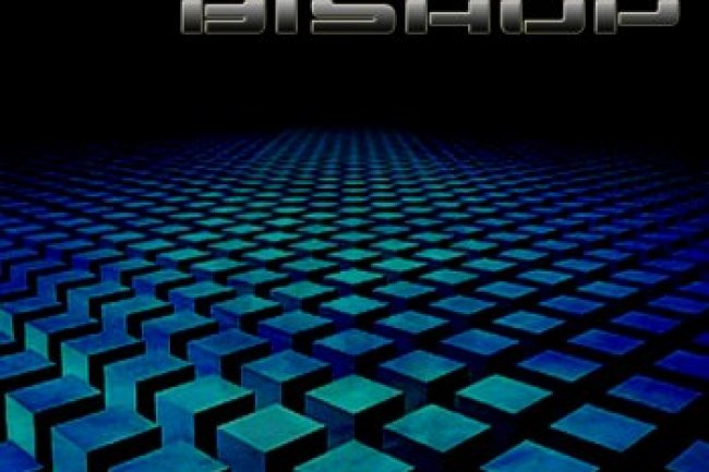 Droid Bishop - The Irrelevance of Space & Time (2013)