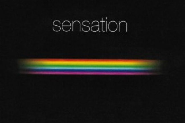 Sensation (2007)