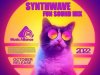 Synthwave Fun Sound Mix (2022)