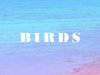 MEGAS - BIRDS (2021)