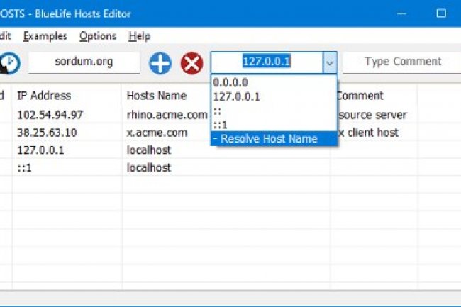 BlueLife Hosts Editor v1.6