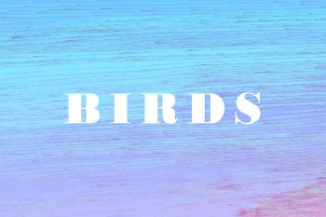 MEGAS - BIRDS (2021)