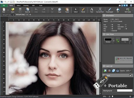 DrawPad Graphics Editor Pro v8.81 + Portable