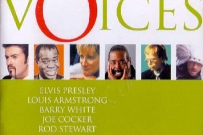 Voices (2004)