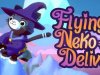 Flying Neko Delivery